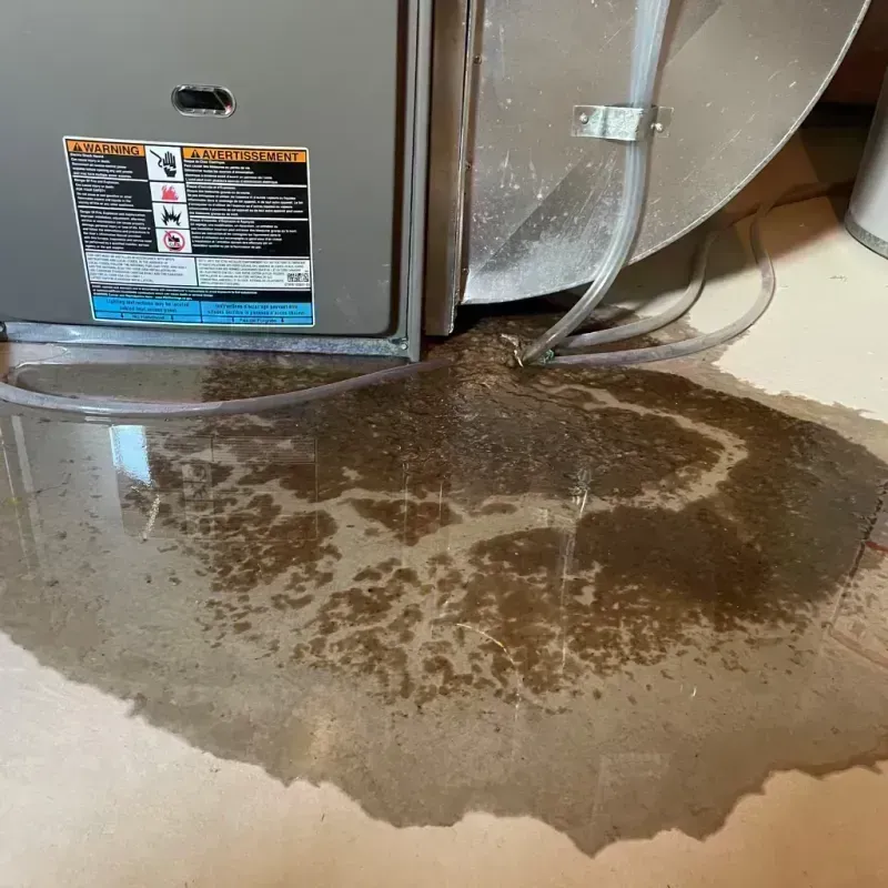 Appliance Leak Cleanup in San Juan County, CO